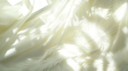Obraz premium Soft, pale fabrics draped with feather shadows