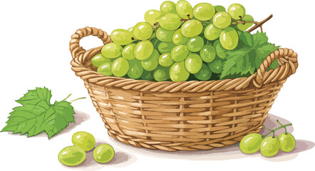 Grapes in basket in white background vector design, Grapes Illustration vector design