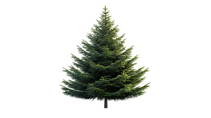 Fototapeta premium pine tree on transparent background