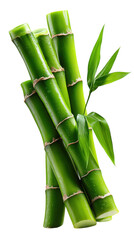 Fototapeta premium Nature's Embrace: Close-up of vibrant bamboo stalks, displaying the clean lines and organic patterns, embodying tranquility and natural beauty. 