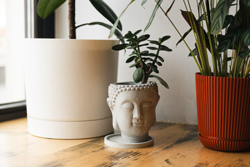 Serene Buddha Planter Amidst Lush Indoor Greenery