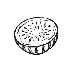 Half cut watermelon piece with seeds in black brush stroke texture isolated on white. Hand drawn vector sketch illustration in vintage charcoal ink. Summer clothes print, menu design