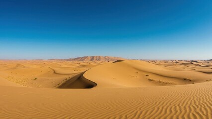 Panoramic desert dunes under a clear blue sky.