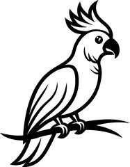 vector illustration of a parrot
