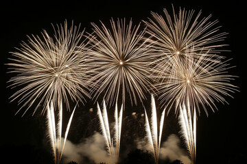 A stunning display of white and gold fireworks illuminating the dark night sky, creating a brilliant and celebratory visual spectacle.