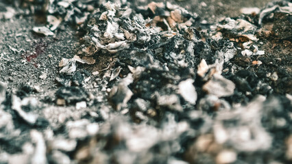 Close-up Abstract of Burned Ash Texture with Depth and Intricate Details