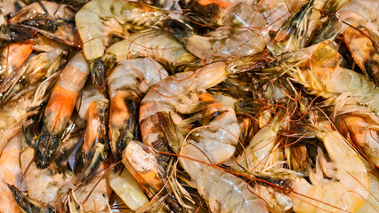 Close-up of Raw Shrimp pile, a Delectable Seafood Ingredient for Cooking