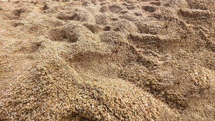 Coastal granular beach sand under the sun, soft grains creating a tranquil scene
