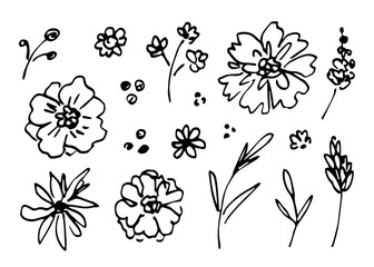 Vector set of floral elements, hand drawn black outline drawing. Flowers, branches, plants. Spring summer decor.