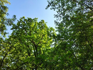 Beauty in nature. The colours of nature.