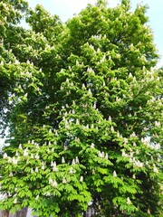 Beauty in nature. The colours of nature.