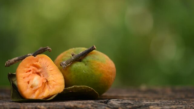 Monkey Fruit or Artocarpus lacucha Buch.-Ham. fruits on natural background.