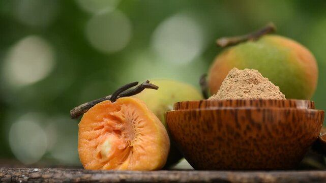 Monkey Fruit or Artocarpus lacucha Buch.-Ham. fruits and powder on natural background.