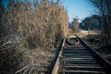 old railway bridge