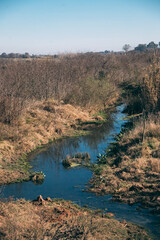 the river in the desert