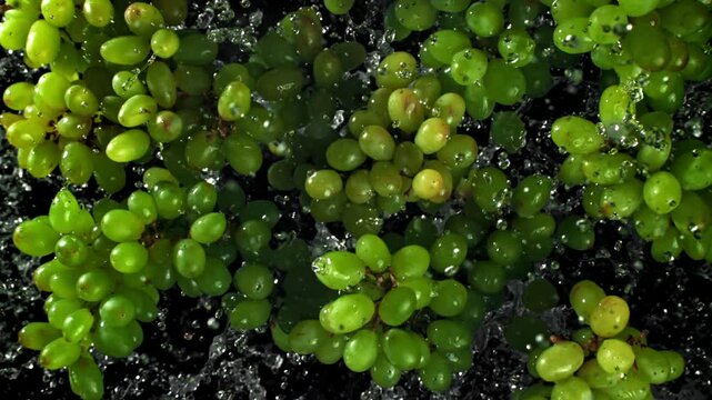 Green grapes fly up and fall down. Filmed on a high-speed camera at 1000 fps. High quality FullHD footage