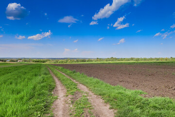 The image shows a rural landscape with a dirt road running between a green field and cultivated...