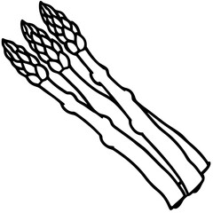Minimalist Asparagus Vector Illustration