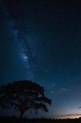 night sky timelapse