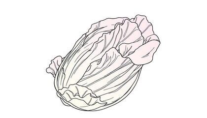 Fototapeta premium Continuous line drawing of crisp head lettuce, isolated on white background, ample copy space, empty space, fresh