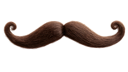 Professional Large Italian Mustache Isolated on White Background for Men's Grooming & Barber Concepts