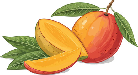 Mango illustration vector design, Mango with mango slice in white background vector design