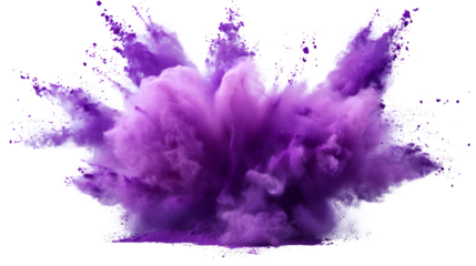 Vibrant Purple Paint Powder Festival Explosion