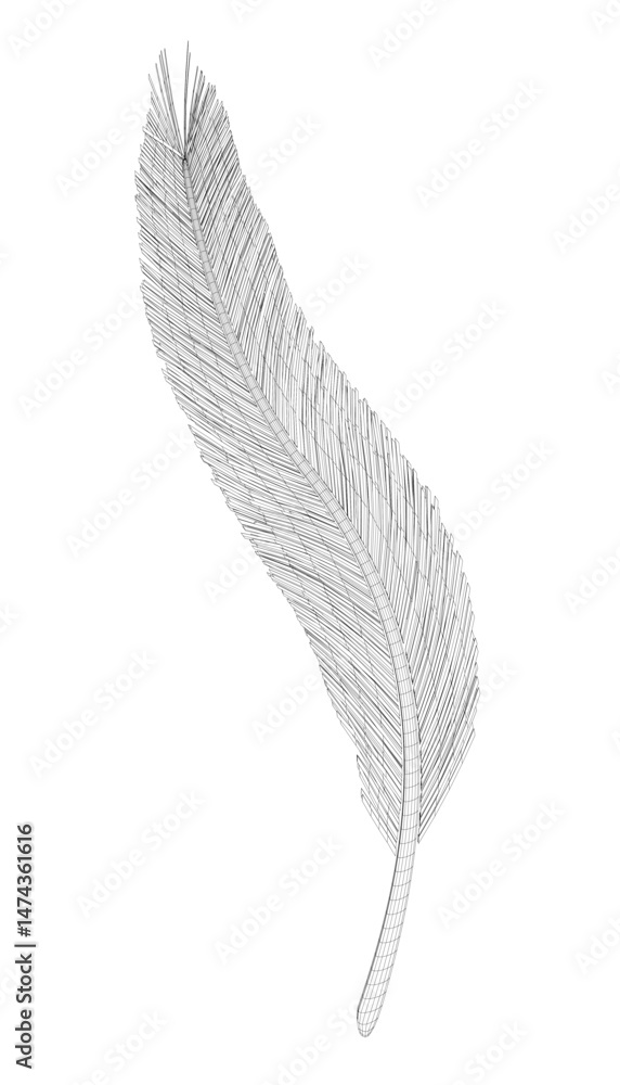 Poster a feather is drawn in black and white. the feather is long and thin, with a pointed tip. the feather