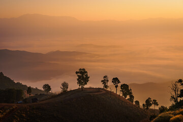 Beautiful scenery of the sea of mist in the morning at the Car Camping site with a viewpoint nature at Doi Ba Lu Kho Mountain in Mae Chaem, Chiang Mai, Thailand. Background concept.