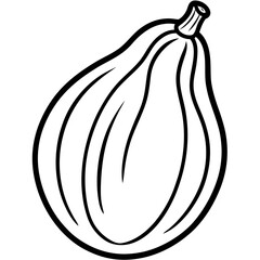 Chayote Botanical Vector Illustration