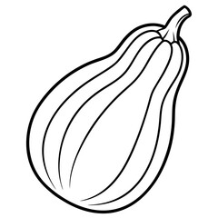 Chayote Botanical Vector Illustration