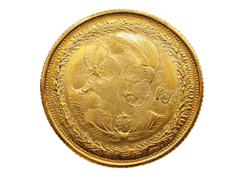 Gold coin top view