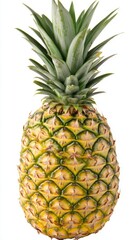 Isolated pineapple fruit on white background studio shot showing texture and crown of leaves tropical freshness healthy eating
