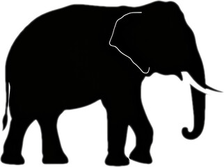 Obraz premium elephant animal silhouette transparent background illustration vector logo design digital icon symbol sign