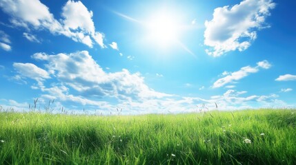 Obraz premium A vast open field with wild grass reaching toward the sky