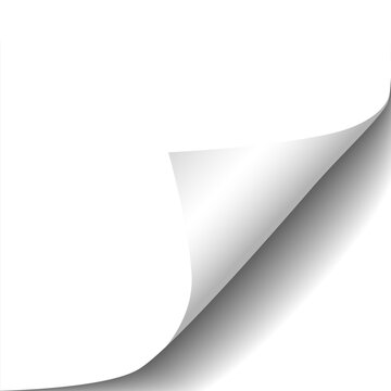 Vector realistic rolled corner of a paper with shadow isolated on transparent background