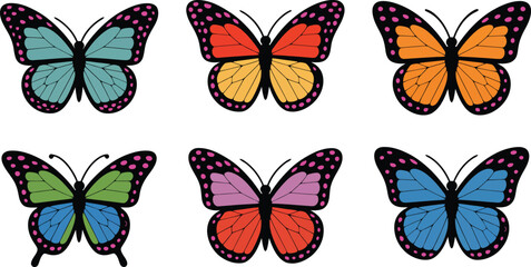 Colorful six butterfly illustrations collection with various wing color designs isolated on white background