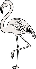Elegant outline illustration of a pink flamingo standing on one leg on white background