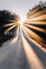 Sunlight streaming trees on rural road