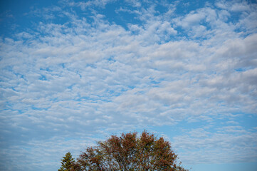 Stunning clouds above a tree in an autumn morning
