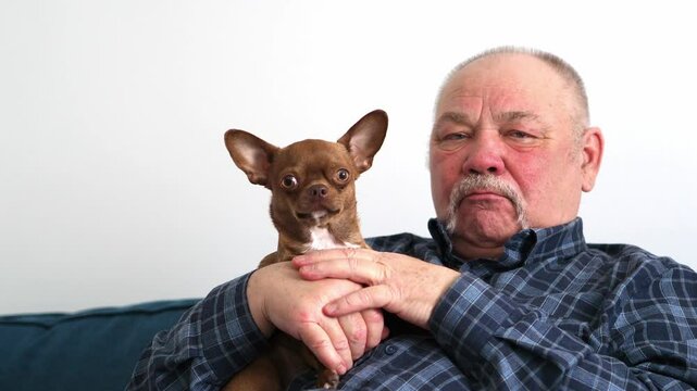 man with dog. A small dog is sitting in the arms of an elderly man. A cute pet in your arms. Dad and the puppy. Senior man with his dog sitting and sharing love. Man holding a dog in a retirement home