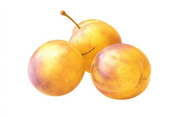 Fototapeta premium Three ripe plums, golden yellow with hints of purple, rest on a white background.