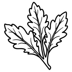 Minimal Arugula Herb Vector Illustration