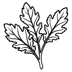Minimal Arugula Herb Vector Illustration