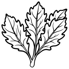 Minimal Arugula Herb Vector Illustration