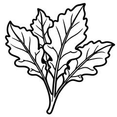 Minimal Arugula Herb Vector Illustration
