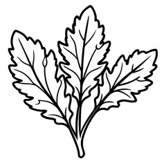 Minimal Arugula Herb Vector Illustration