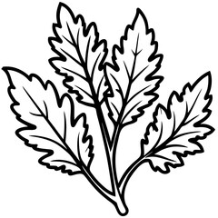 Minimal Arugula Herb Vector Illustration