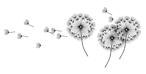 A delicate dandelion vector art on a white background, featuring fine lines and soft details. The floating seeds evoke a sense of freedom, renewal, and nature's fleeting beauty in a minimalist design.