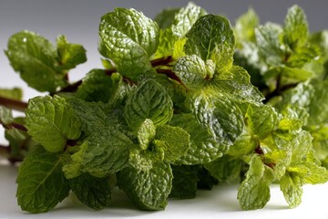 Fresh mint leaves arranged on a clean surface showcasing their vibrant green color and texture